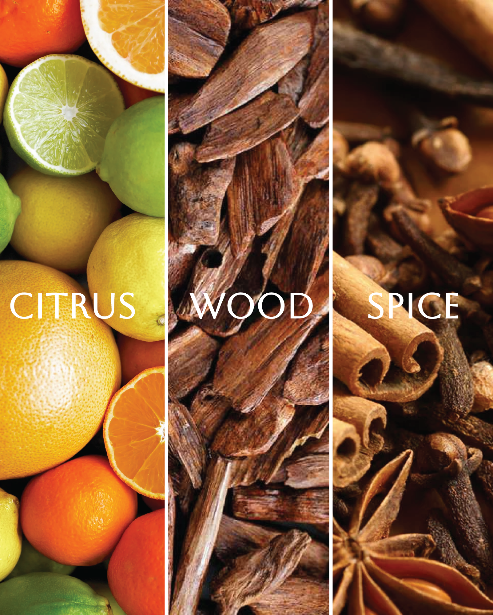 De Blue Prism Diffuser