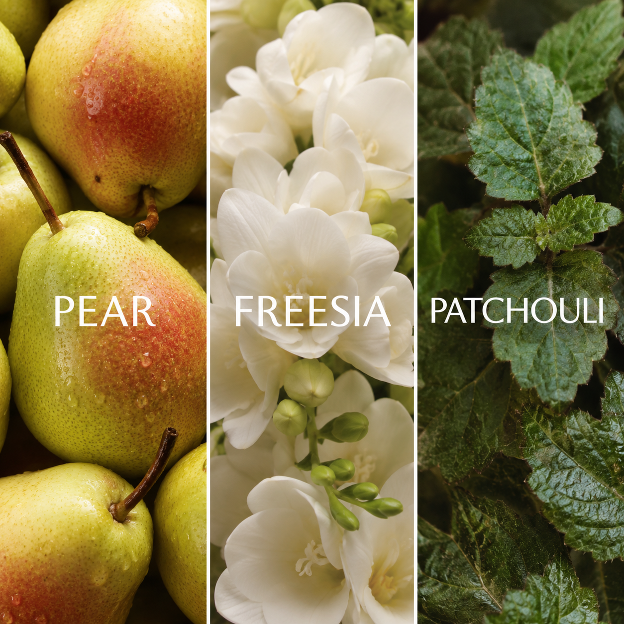 English Orchard Prism Diffuser