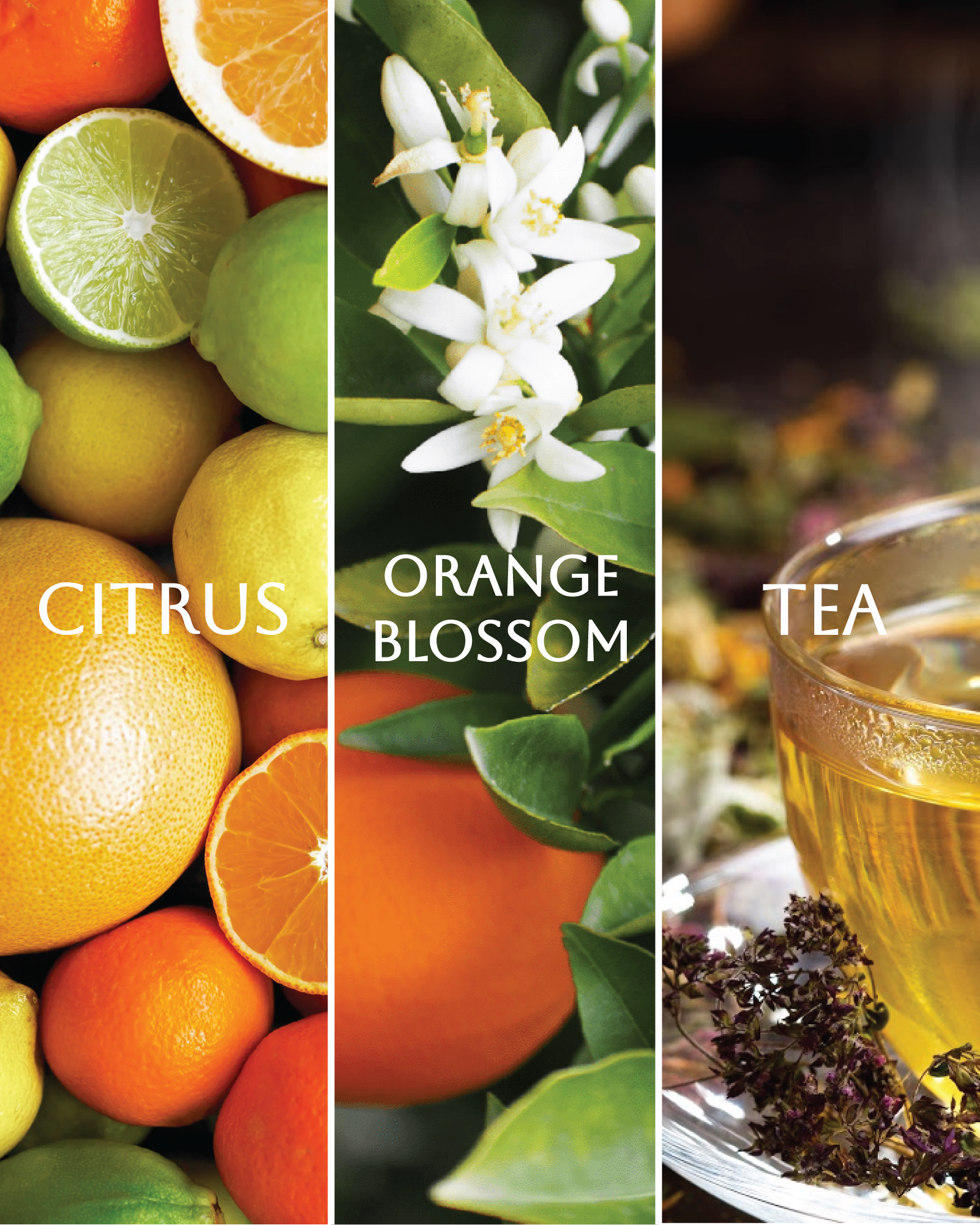 Imagine Prism Diffuser