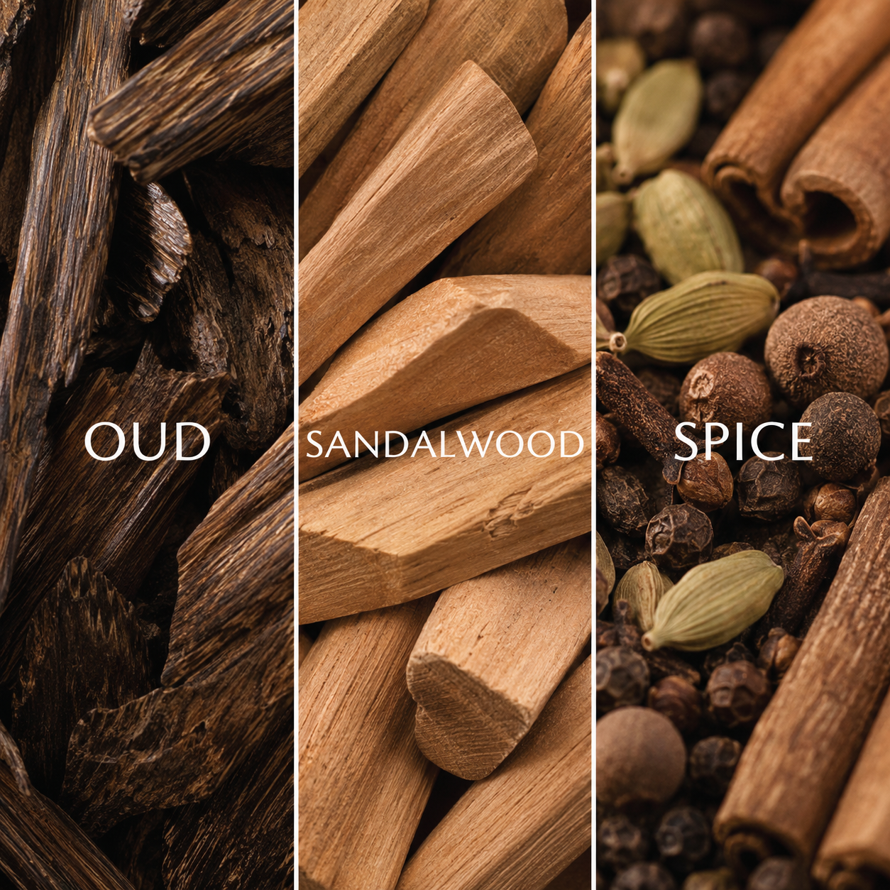 Woody Oud Prism Diffuser