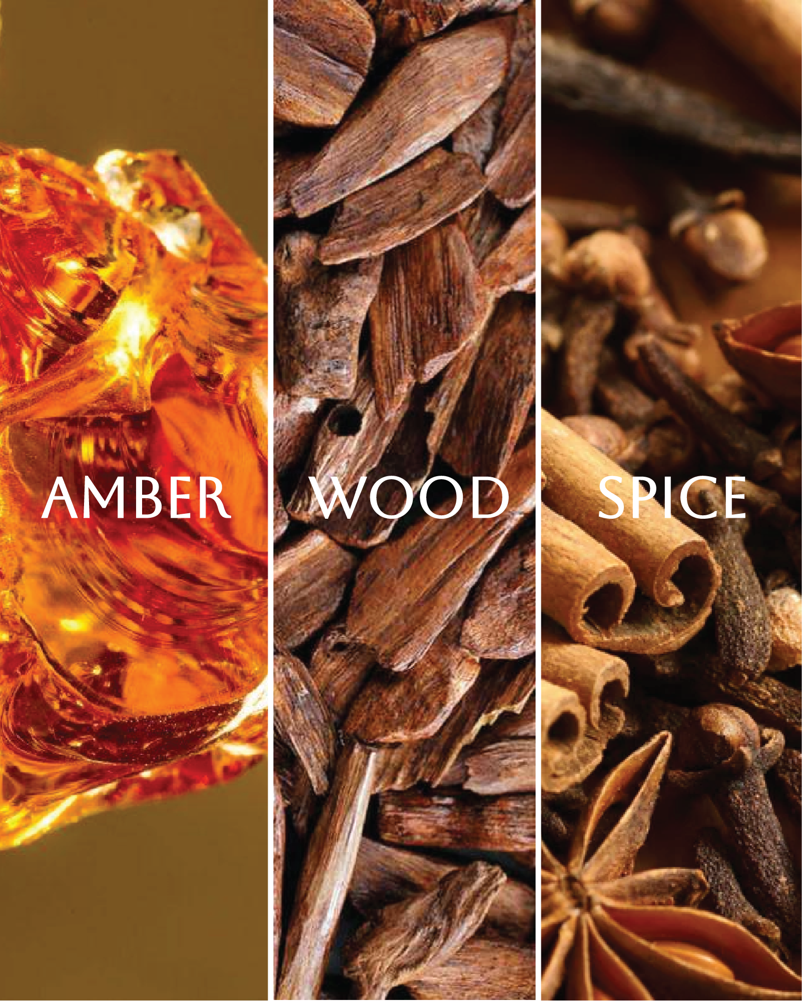 Rouge Prism Diffuser