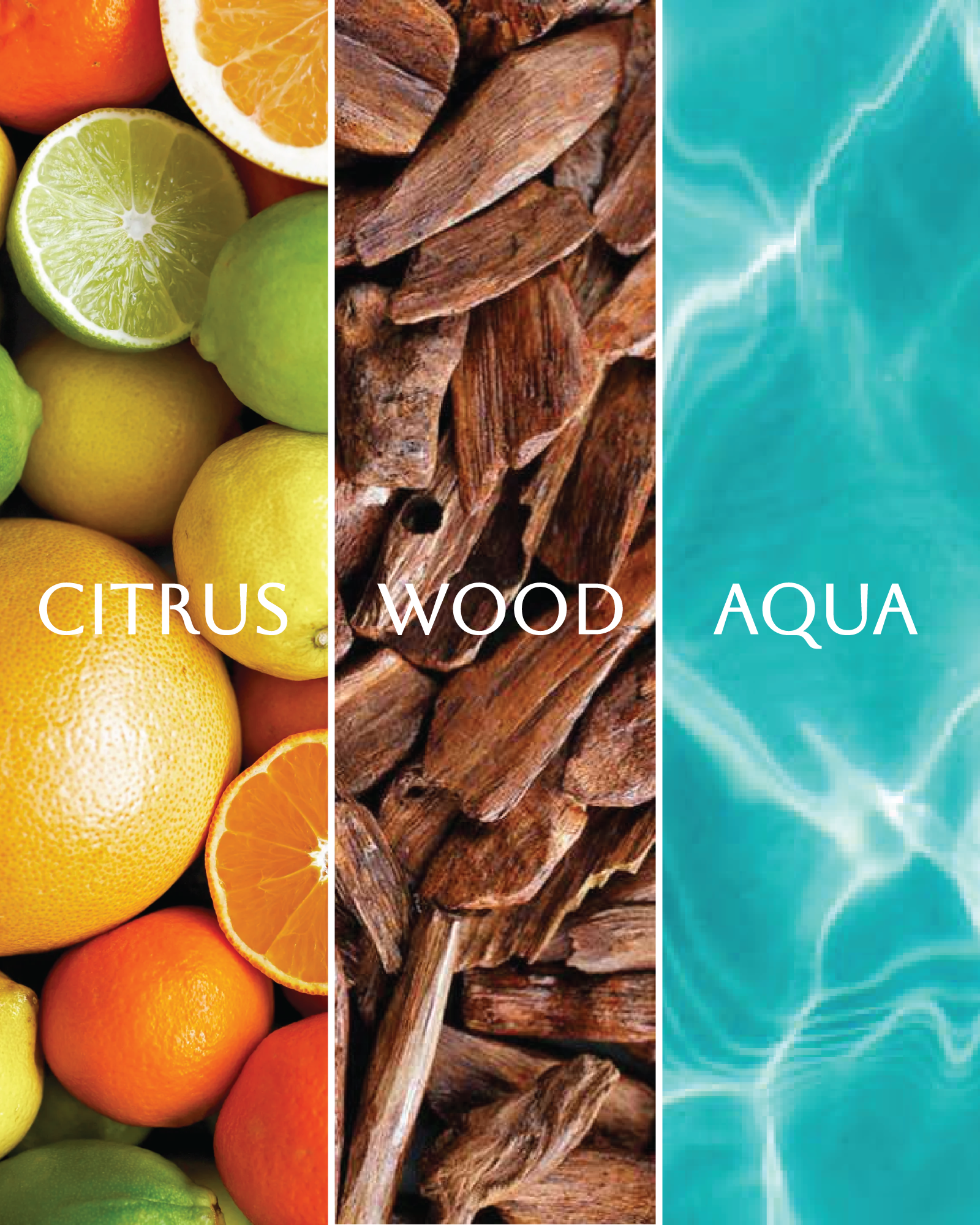 Savage Prism Diffuser